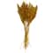 Dried Plant Bamboo Natural Foliage with Long Stems